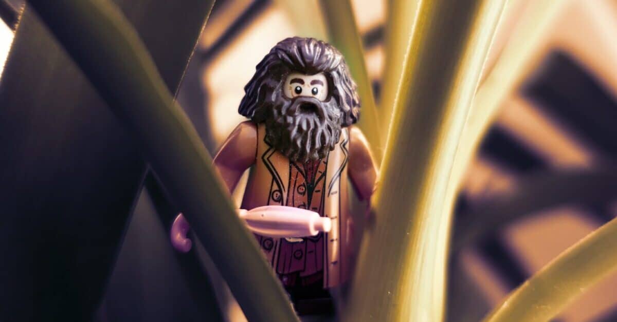 Lego Hagrid. He’s small as a Lego, but really big as a person.